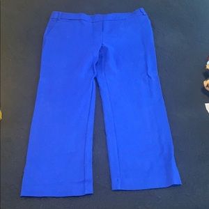 Blue capri pants